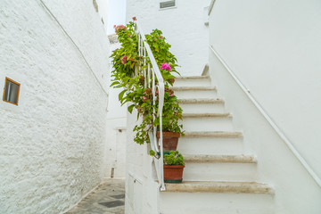 whitewashed houses of Locorotondo © Vivida Photo PC