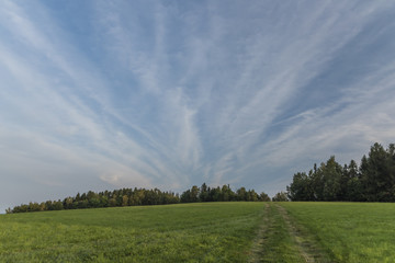 Summer evening near Roprachtice village