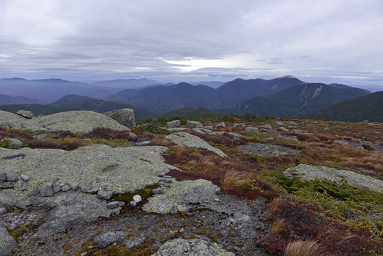 The Alpine subarctic zone in Autumn colors on the summit of an Adirondack 46er in upstate New York