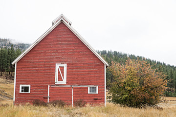 Obraz premium red barn