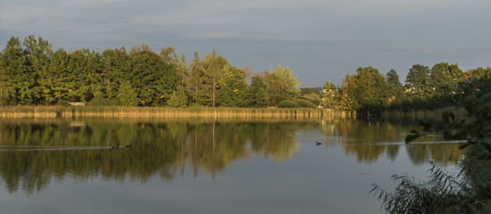 Summer evening near south Bohemia ponds