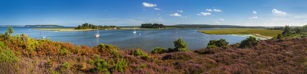 Fototapeta na wymiar Panorama of Islands in Poole Harbour with Heather foreground