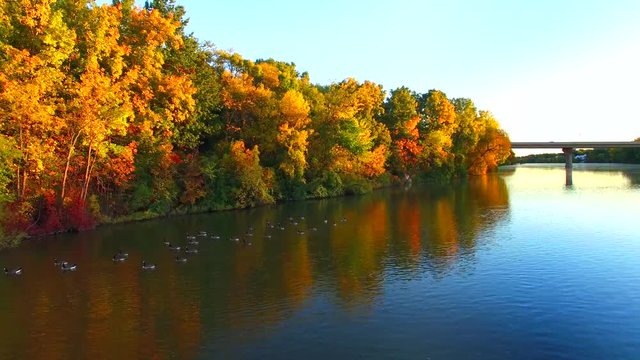 This video is about Wrightstown autumn trees w geese 0331
