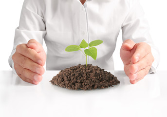 Concept of growing from plant in hand