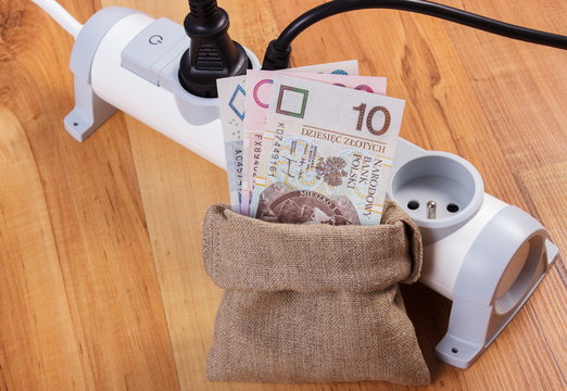 Electrical extension with connected plug and polish currency money, energy costs