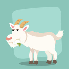 goat eating leaf vector illustration design