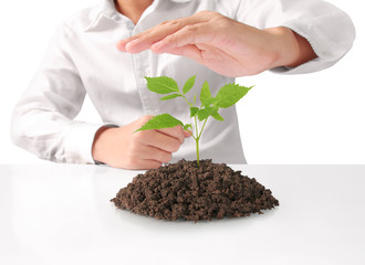 Concept of growing from plant in hand