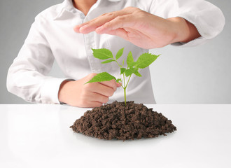 Concept of growing from plant in hand