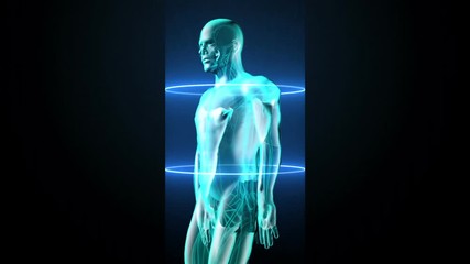 Scanning blood vessel in male body. X-ray view