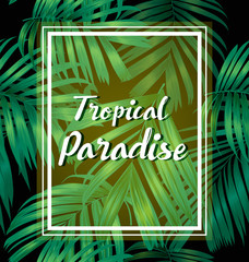 Fototapeta premium palm leaf pattern