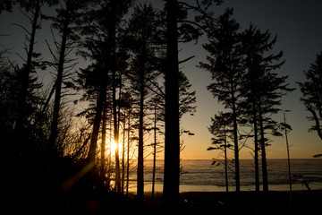 Washington Sunset