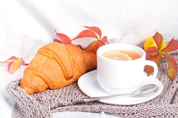 Having autumn a breackfast on gray blanket in bed