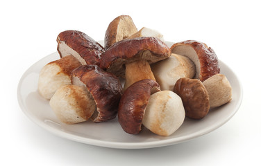 Isolated white mushrooms on the plate