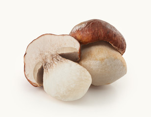 Isolated white mushrooms