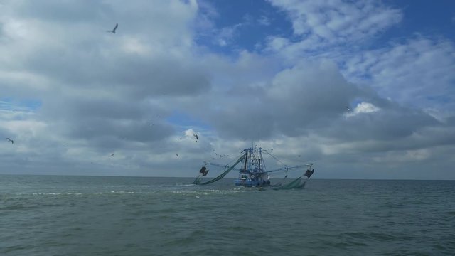 Seagulls fly around a shrimping boat trawling in the ocean.