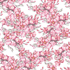Fototapety  Seamless pattern with the Japanese quince. Watercolor illustration.