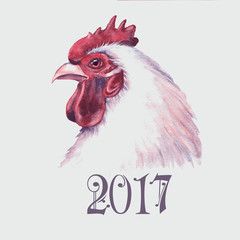 Hand drawn watercolor cock illustration. Chinese calendar symbol of 2017 year. Greeting card template for the New Year holidays with the rooster. © anastasianio