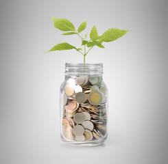 money in glass piggy  bank