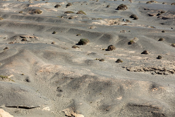 Beautiful volcanic landscape in La Pared on  Fuerteventura. Canary Islands.