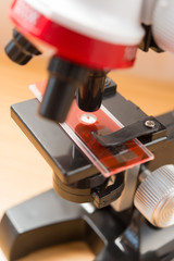 microscope for kid to research the nature close up