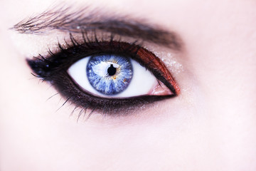 Eye Makeup. Beautiful Eyes Glitter Make-up. Holiday Makeup detail