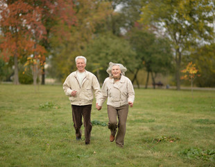 Naklejka na ściany i meble Beautiful elderly couple walking in the autumn park