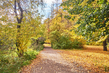 Naklejka premium autumn Park