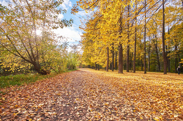 autumn Park