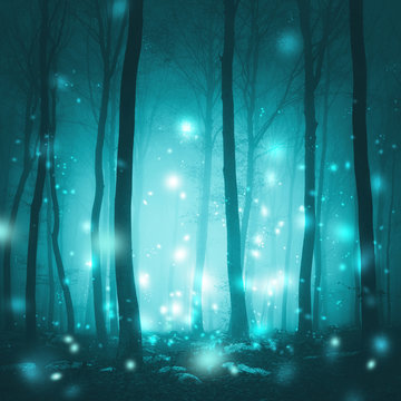 Fototapeta Magical foggy forest trees with artistic fireflies light background. Magic cyan blue colored fairytale woodland.