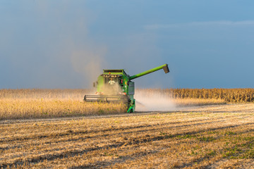 Fototapeta premium soybean harvest in autumn