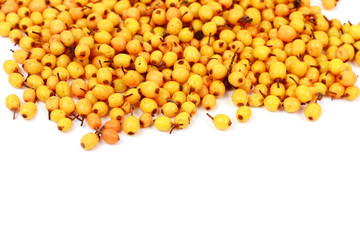 Heap of  Sea-buckthorn berries