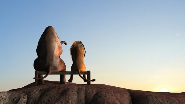 Elephant and lion on a mountain top sit on a bench at sunset