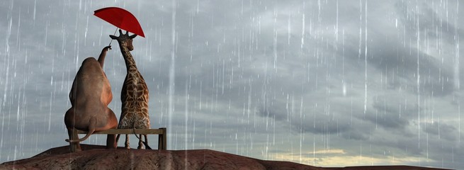 Elephant and Giraffe  on a mountain top sit on a bench in the rain © Riko Best