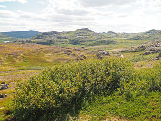 Barents Sea coast in the north of Russia