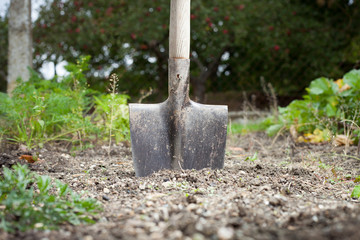 The old spade in the filed of soil