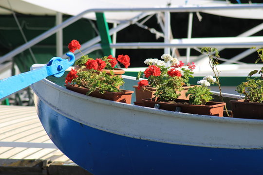 Conflans Sainte Honorine - Les Quais de Seine