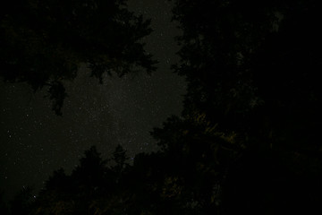 Long exposure of the stars lake and trees