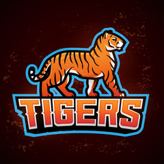 Tiger mascot vector. Sport logo design template. Football or baseball illustration. College league insignia, School team logotype on fire background.