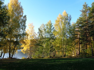 Осенний пейзаж