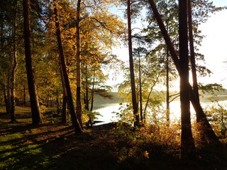 Obraz premium Закат на озере