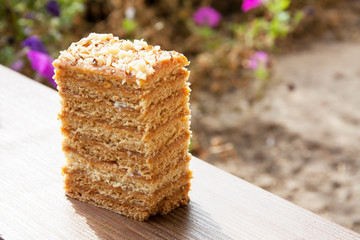 A piece of cake outdoors. Background from flowers. Close-up. Selective focus.