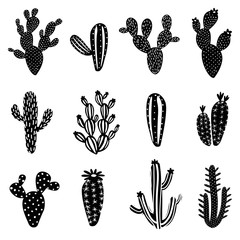 cactus silhouette illustration set