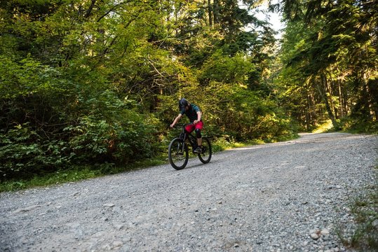 Male cyclist cycling in forest
