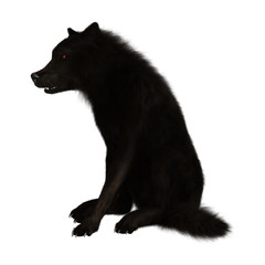 3D Rendering Black Wolf on White