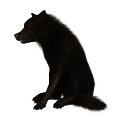 Fototapeta premium 3D Rendering Black Wolf on White