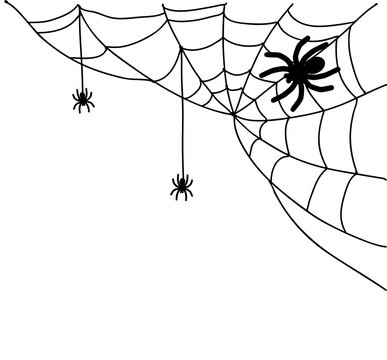 Spiderweb illustration vector