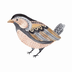 Watercolor cute little bird.