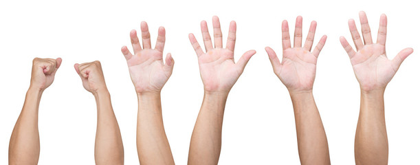 Man hands isolated on white background