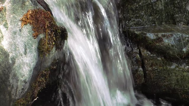 Small mountain river flows between the rocks