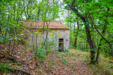 Abandoned house in the woods / old house / isolated / stone house / autumn / forest / fallen leaves